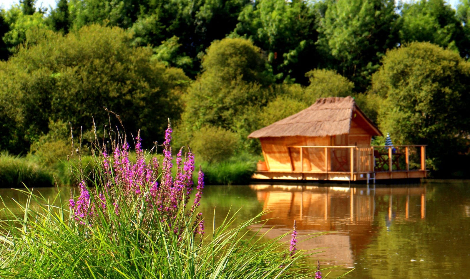 CABANE ILES DES PINS