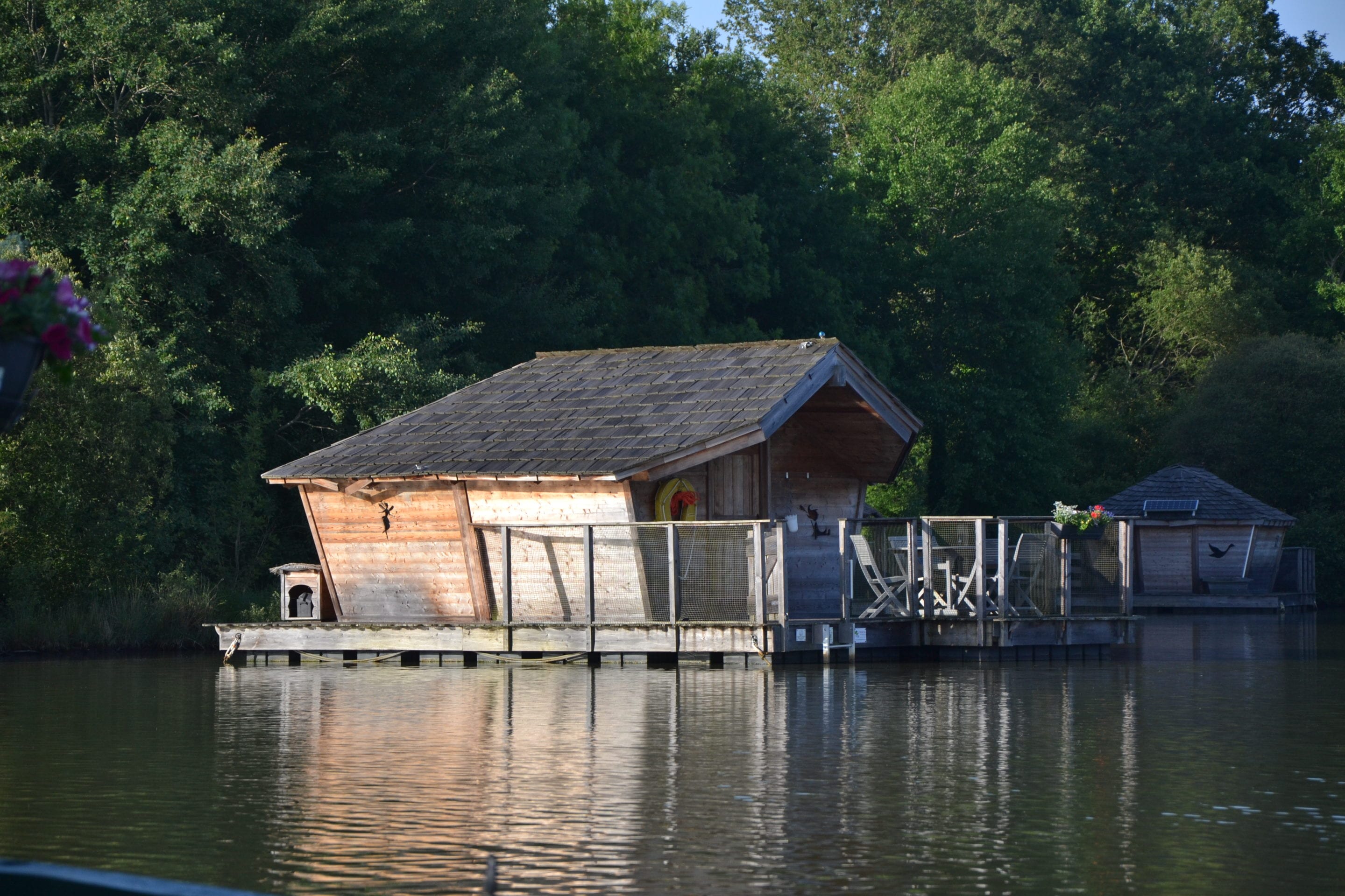 CABANE LE GOURAMI